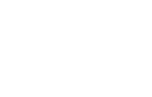 vivi e danza logo negativo